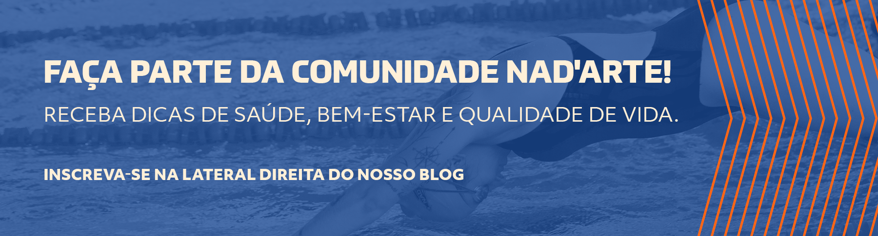 Receba a newsletter